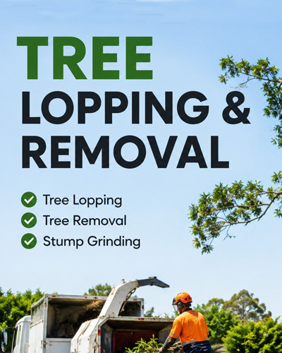 Tree Lopping & Removal service in Perth WA